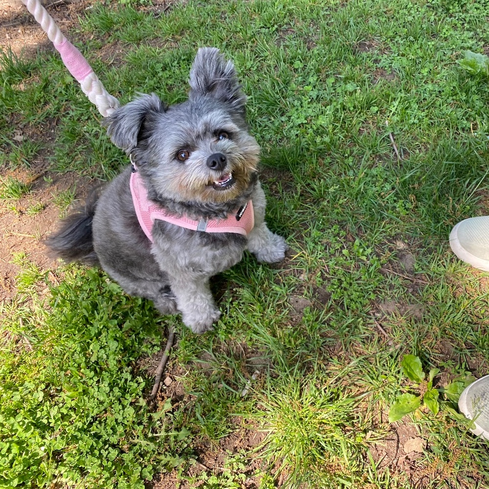 Meet your Posher, Alicia